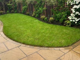 Lawn & patio area Affodable garden maintenance stoke on trent gardencare2000